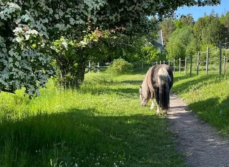 ベッドアンドブレックファースト Annehill I Bro