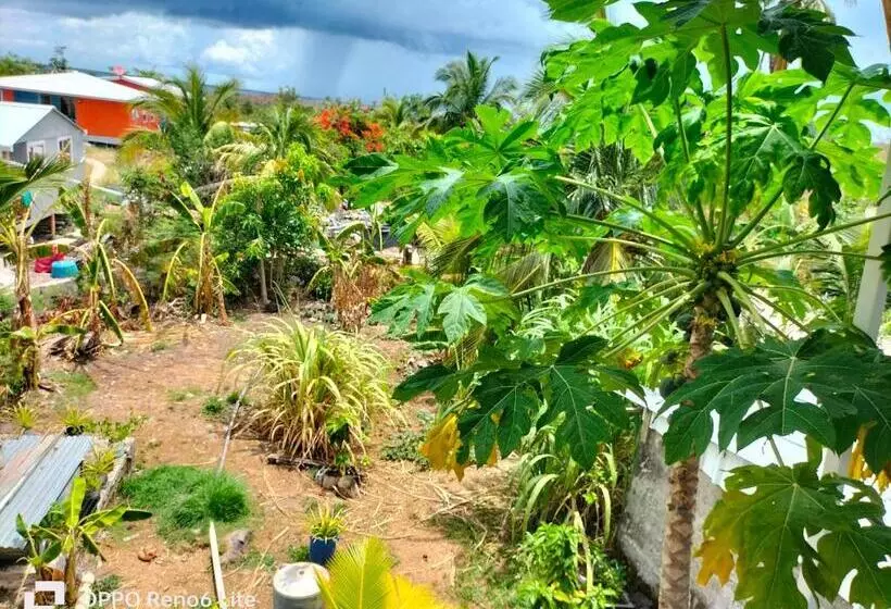 ベッドアンドブレックファースト Mary & Matt Lodge