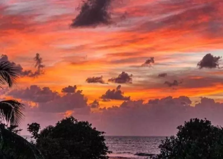 ベッドアンドブレックファースト Mary & Matt Lodge