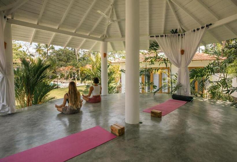 בית מלון כפרי Panta Rei Resort