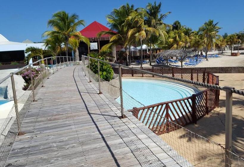 Le Cosy   Studio Spacieux, équipé, Proche Plage & Piscine, Au Manganao