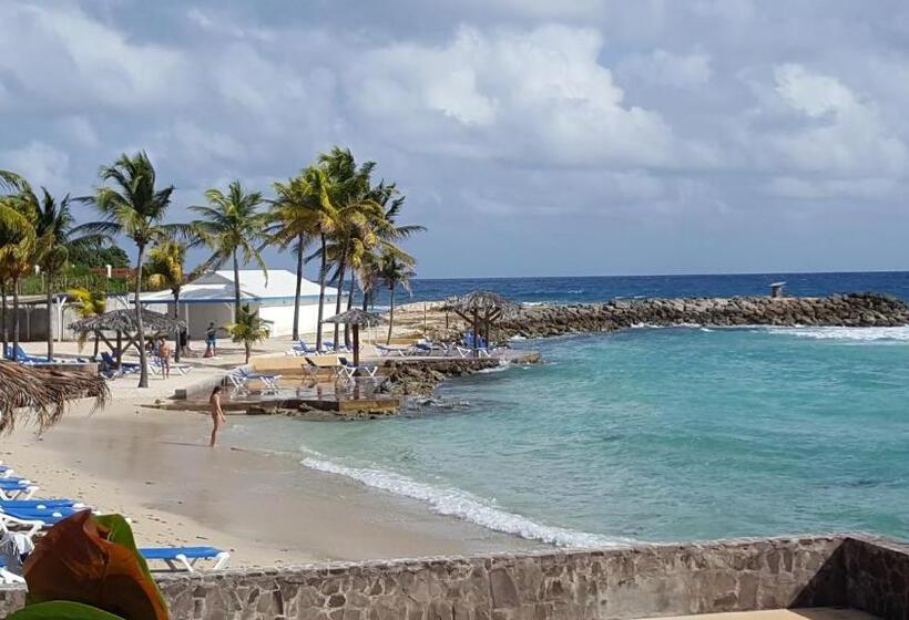 Le Cosy   Studio Spacieux, équipé, Proche Plage & Piscine, Au Manganao