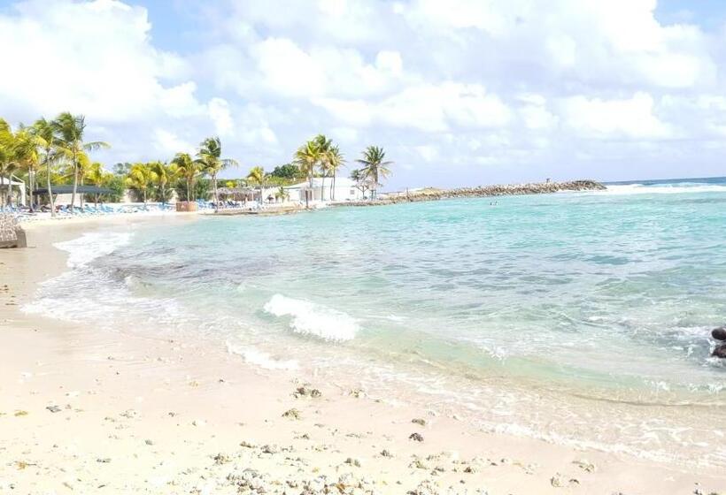 Le Cosy   Studio Spacieux, équipé, Proche Plage & Piscine, Au Manganao