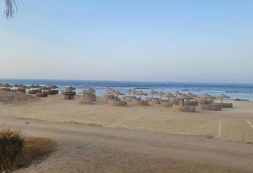 Oyster Bay Beach Resort   Luxury Serviced Condo