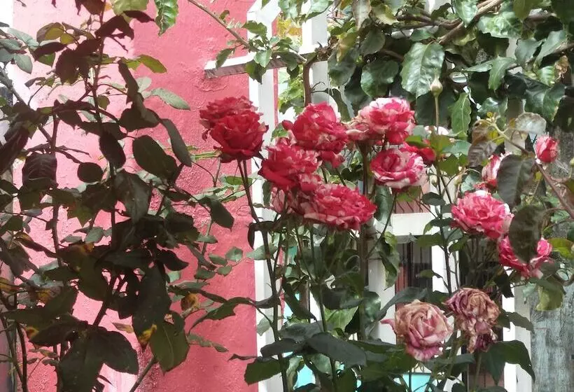 ペンション Hostal Imperial