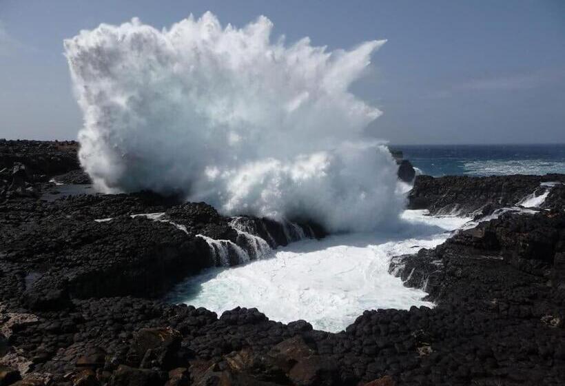 פנסיון Nifa House