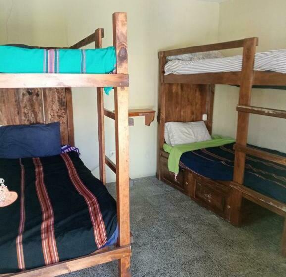 هاستل Hostal The Friends