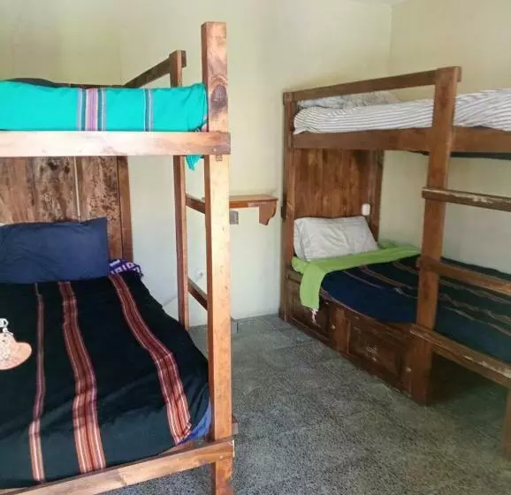 هاستل Hostal The Friends