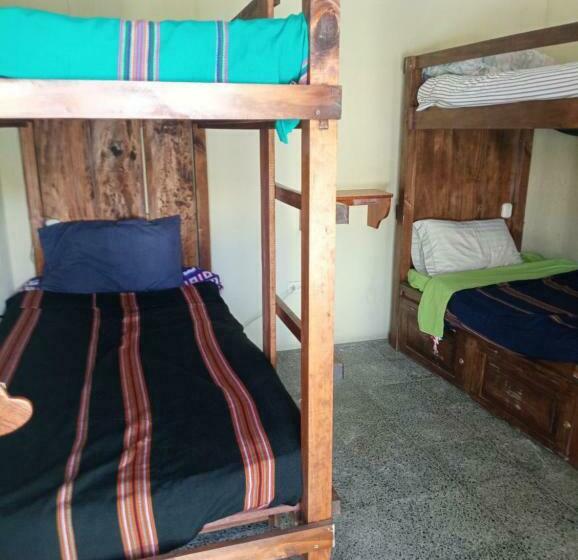 هاستل Hostal The Friends