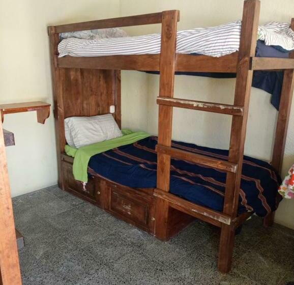 هاستل Hostal The Friends