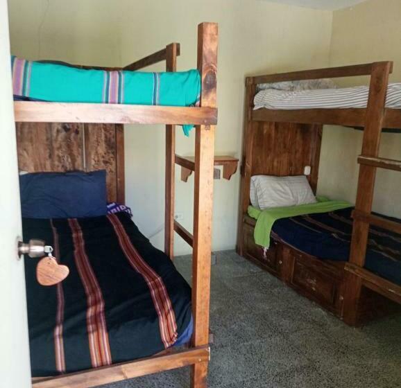 هاستل Hostal The Friends