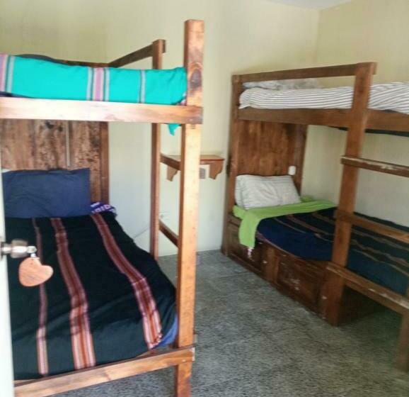 هاستل Hostal The Friends