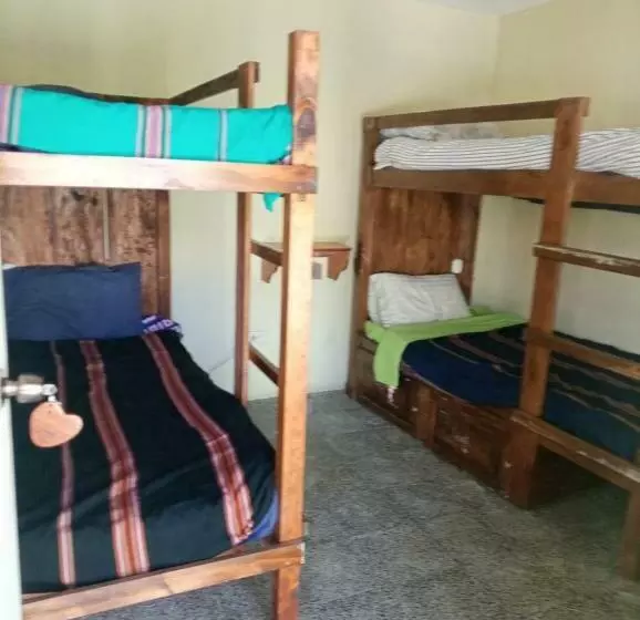 هاستل Hostal The Friends