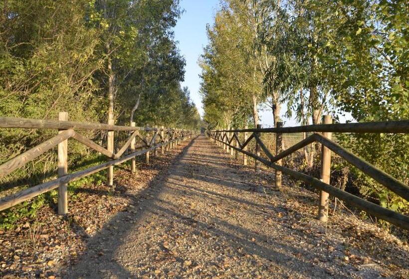 צימר River Dreams