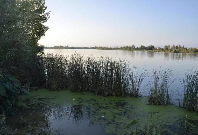 Aamiaismajoitus (B&B) River Dreams