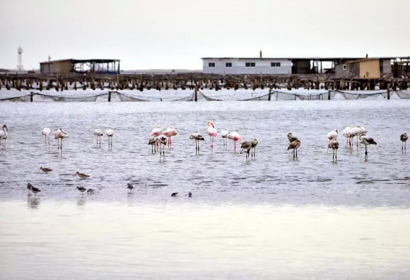 Aamiaismajoitus (B&B) River Dreams