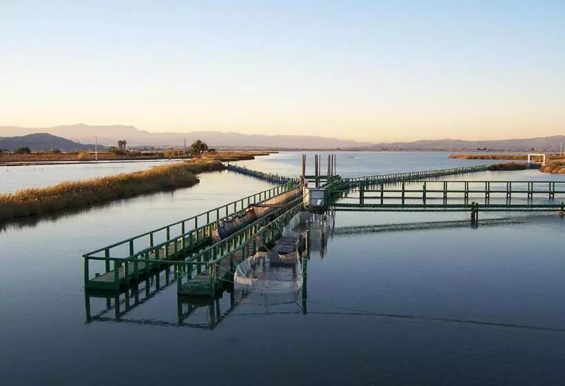 Aamiaismajoitus (B&B) River Dreams