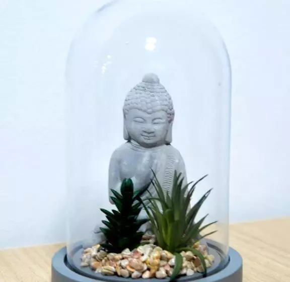 Aamiaismajoitus (B&B) River Dreams