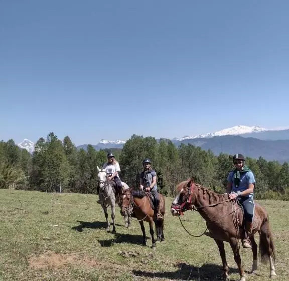 ホテル Habitación Establo De Caballos