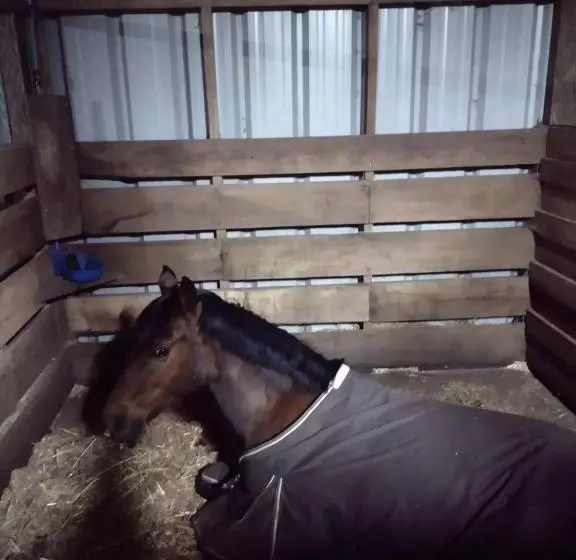 ホテル Habitación Establo De Caballos