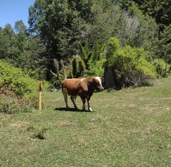 هتل Habitación Establo De Caballos