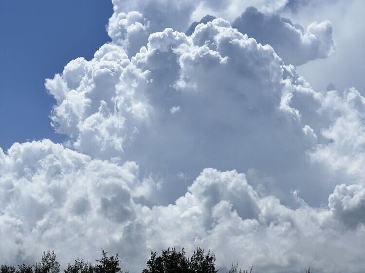 ホテル Kivuli Beach Resort Paje