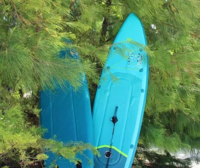 ホテル Kivuli Beach Resort Paje