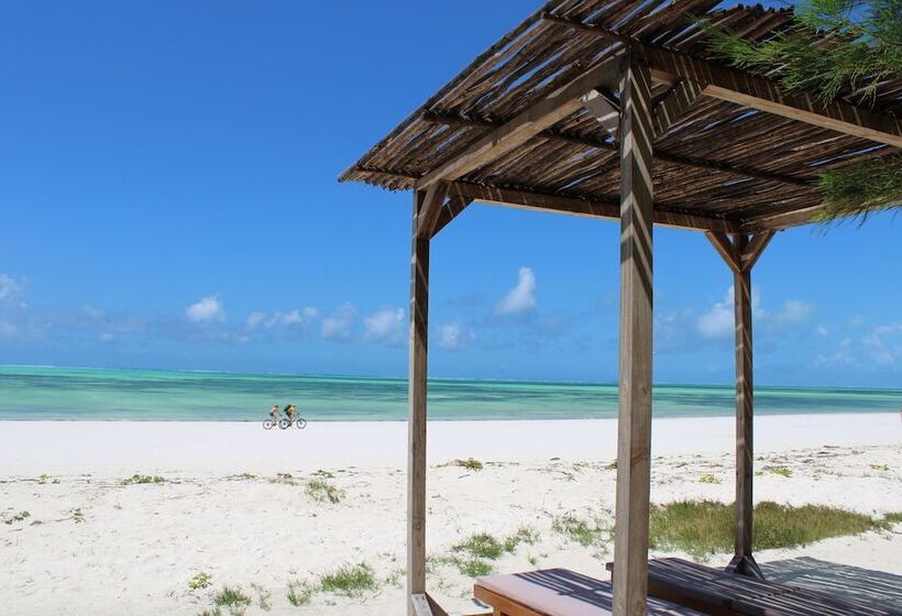 ホテル Kivuli Beach Resort Paje