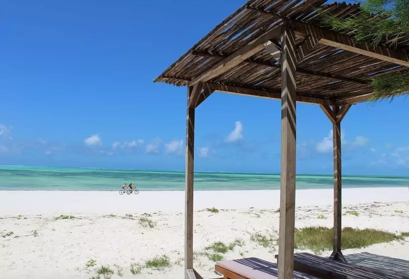 ホテル Kivuli Beach Resort Paje