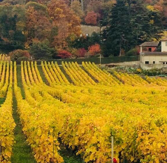 پانسیون La Romély