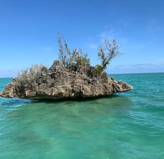 پانسیون Résidence Au Bout Du Morne