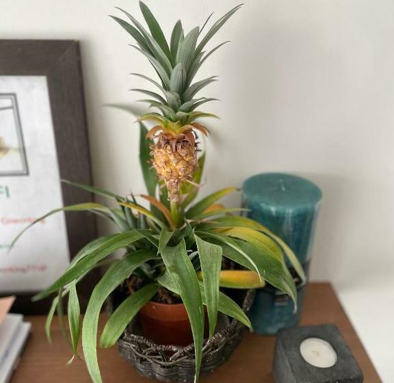 بنسيون Suite Tout Confort 80m2, Cosy Et élégante