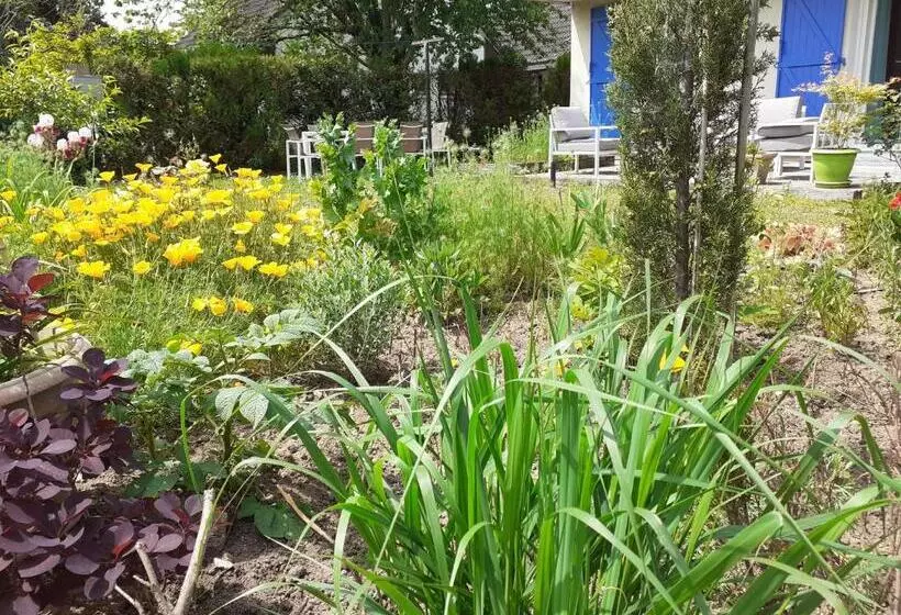 Aamiaismajoitus (B&B) Les Oiseaux Chambre D Hôtes