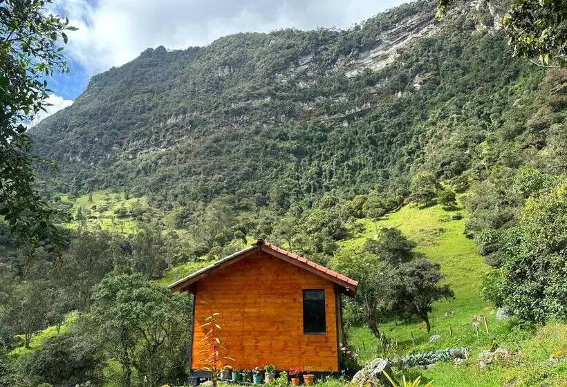 ベッドアンドブレックファースト Rincón Entre Piedras Cabaña Entre Montañas