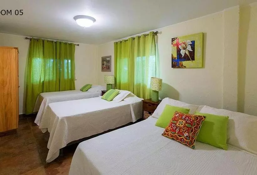 ホテル Casa Amarilla Et Restaurant