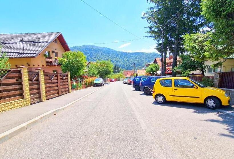 بنسيون Casa Cu Brazi