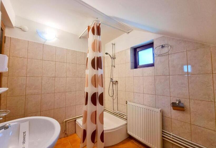 بنسيون Casa Cu Brazi