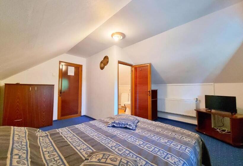 بنسيون Casa Cu Brazi