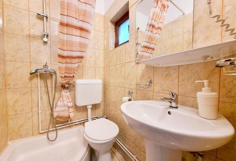 بنسيون Casa Cu Brazi