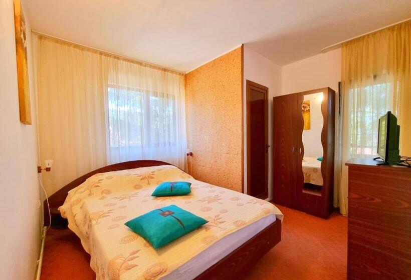 بنسيون Casa Cu Brazi