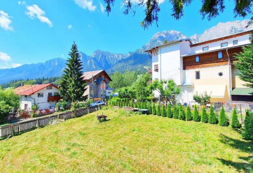 بنسيون Casa Cu Brazi