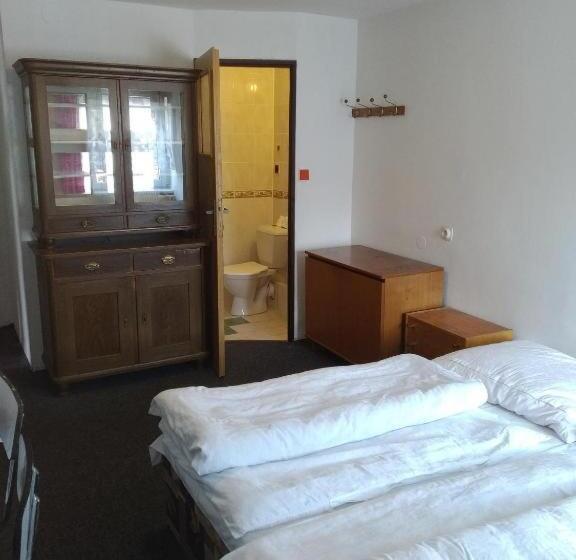 פנסיון Třilužkovy Pokoj Standart Id Pokoje 4917188