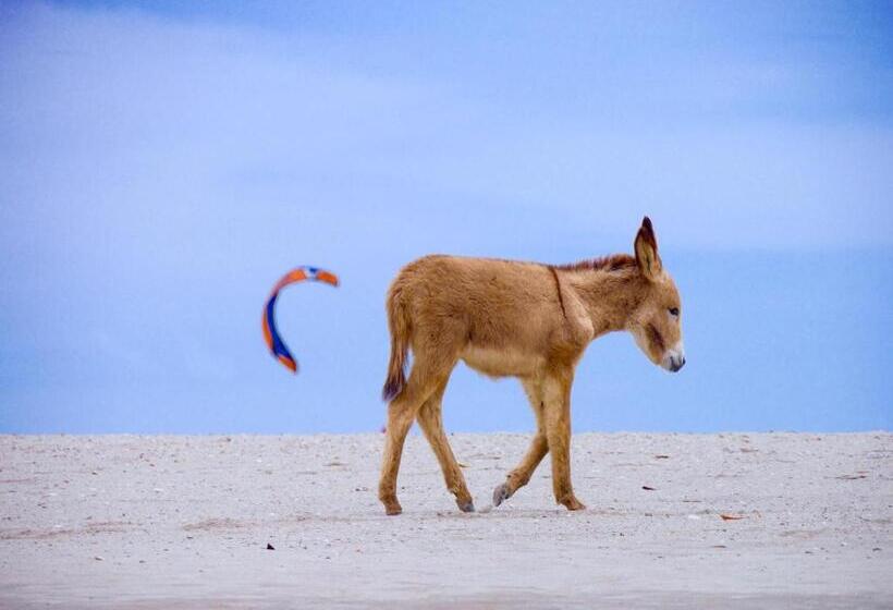 リゾートホテル Beekite Wind Village