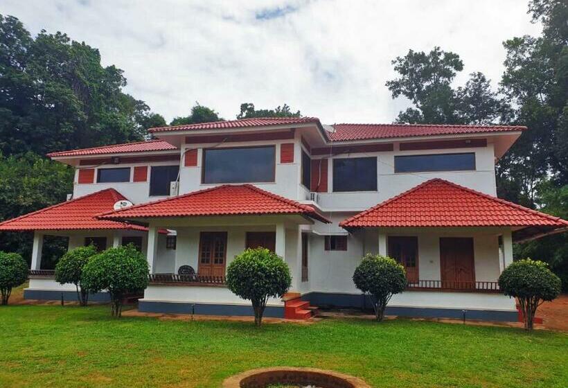 渡假胜地 Staymaker Tropical Blooms