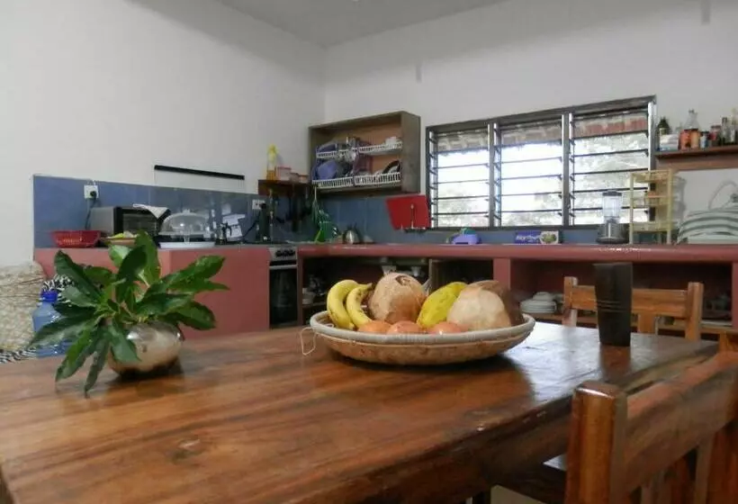 تختخواب و صبحانه Fabio S House