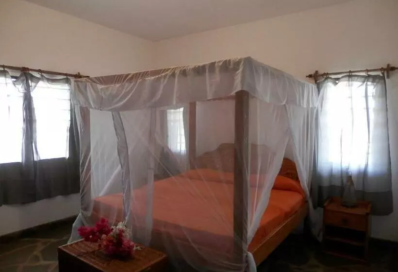 تختخواب و صبحانه Fabio S House