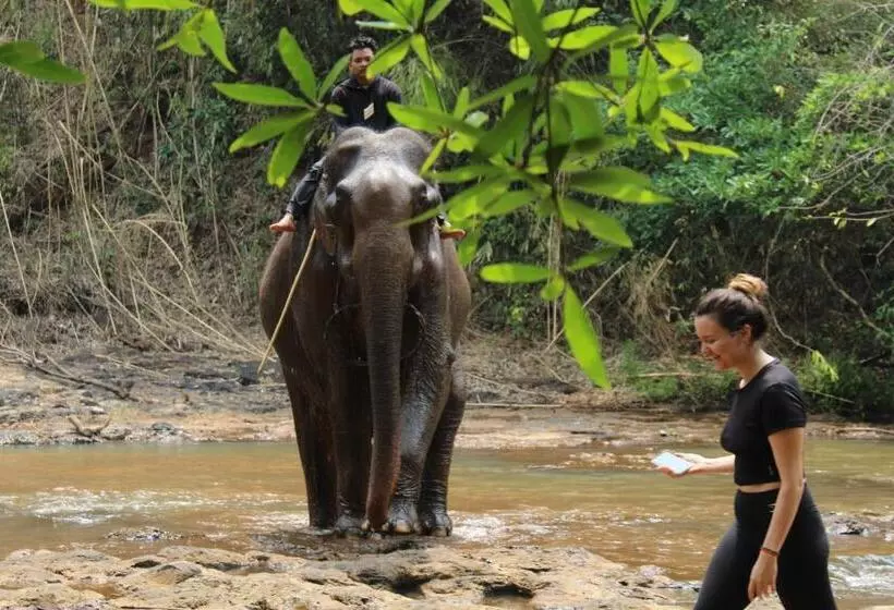 Aamiaismajoitus (B&B) La Villa Hortensia Mondulkiri