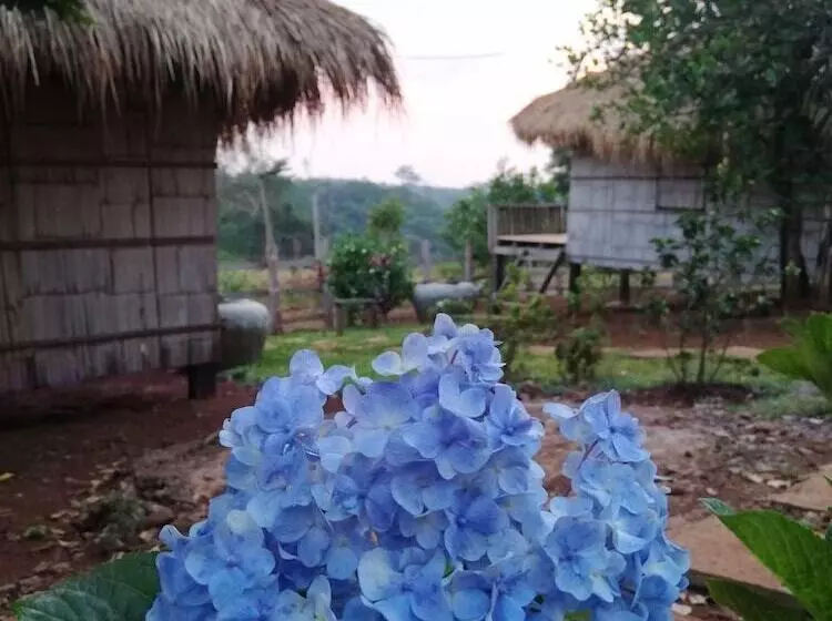 Aamiaismajoitus (B&B) La Villa Hortensia Mondulkiri