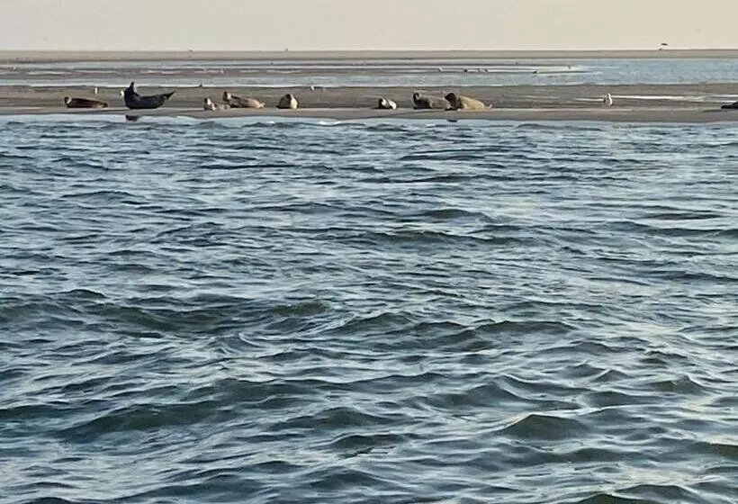 Aamiaismajoitus (B&B) Waves