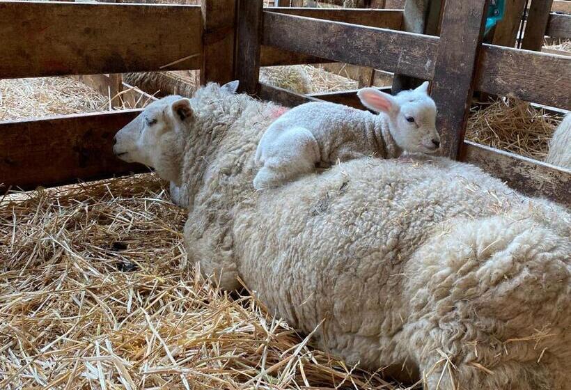 Nocleg ze śniadaniem Waves